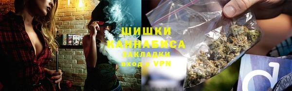 дурь Бронницы