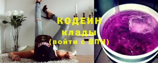 2c-b Бородино
