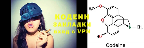 2c-b Бородино