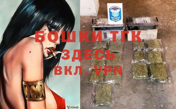 дурь Бронницы