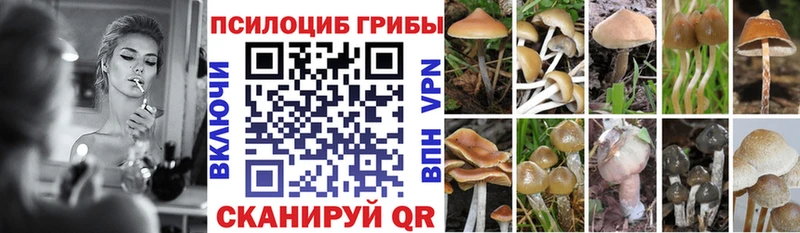 блэк спрут сайт  Шагонар  Псилоцибиновые грибы ЛСД  наркотики 